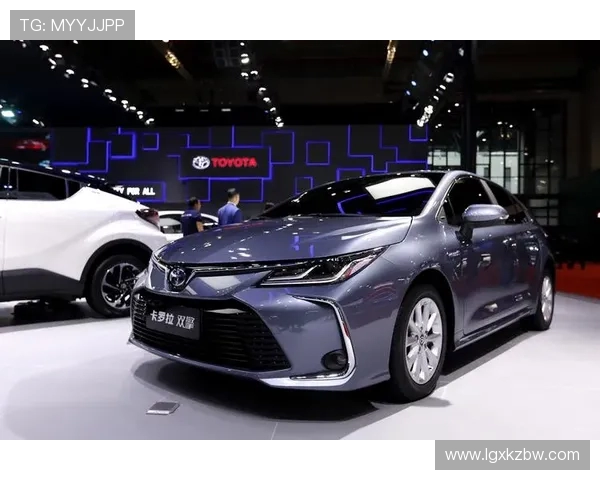 深圳排球队在洲际杯中的状态表现分析与未来展望 深圳排球队在洲际杯中的状态表现分析与未来展望