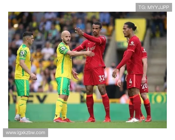 卢卡库重返赛场展现强大实力球迷期待他引领球队再创辉煌