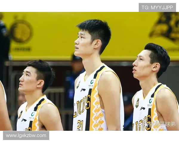 浙江广厦与辽宁队对决分析全方位解读两队实力与战术布局