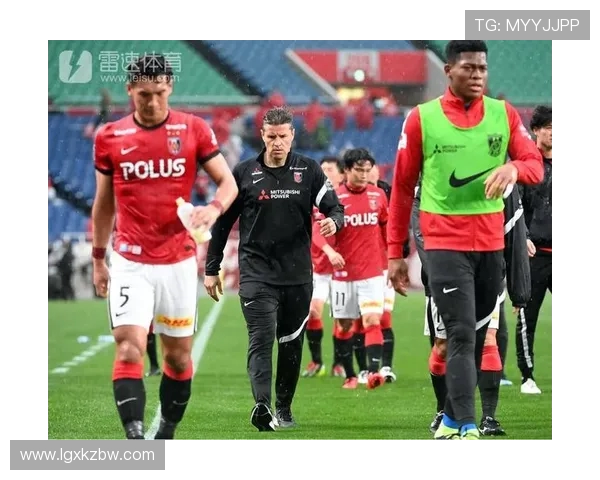 红钻与神户的巅峰对决在线直播全程回放与精彩分析