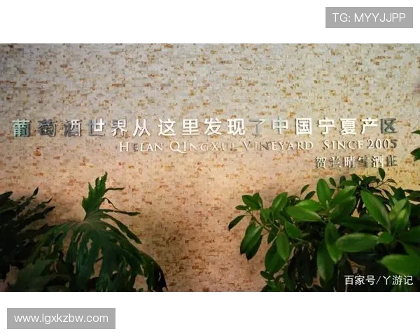 重庆羽毛球队的逆袭之路:从默默无闻到全国瞩目的奋斗历程