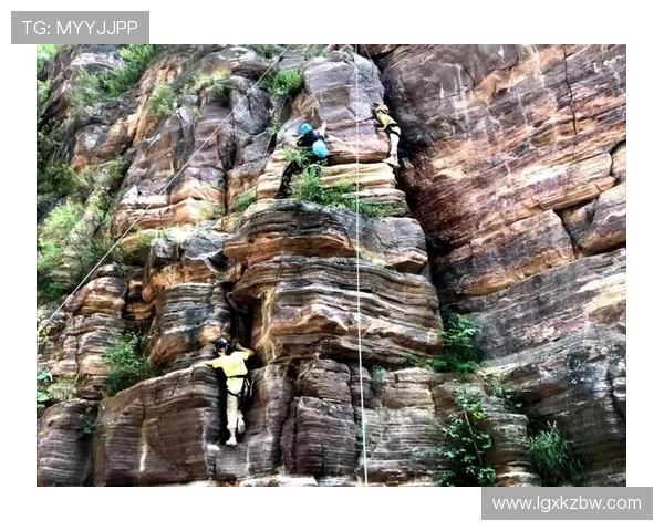 最新攀岩团队协作榜单揭晓北京攀岩队稳居第一名